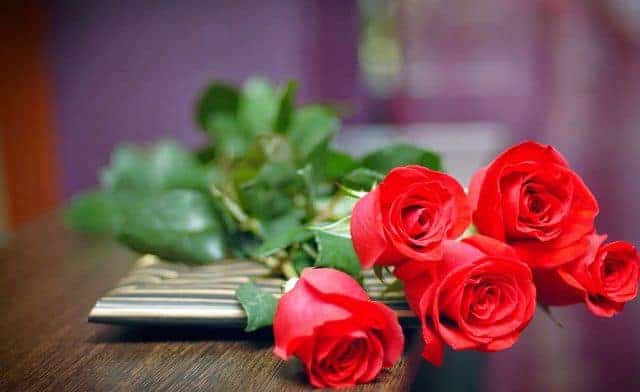 Ý nghĩa màu sắc và số lượng hoa hồng | Blog Cây Cảnh