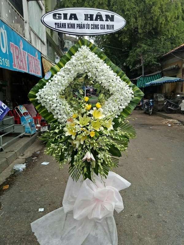dien hoa an giang gia re