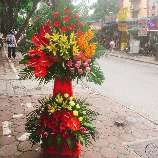 dien hoa ha noi gia re