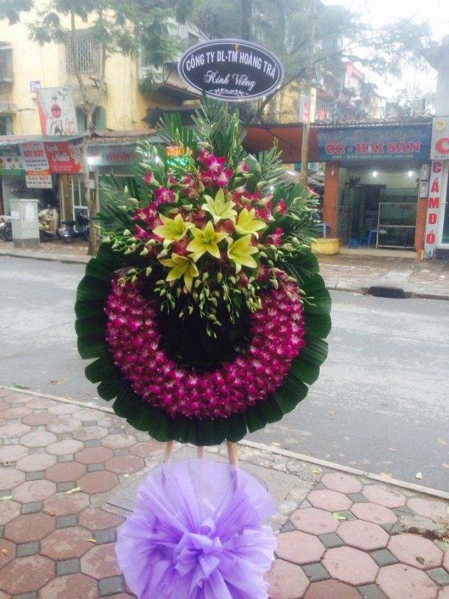 dien hoa ha noi
